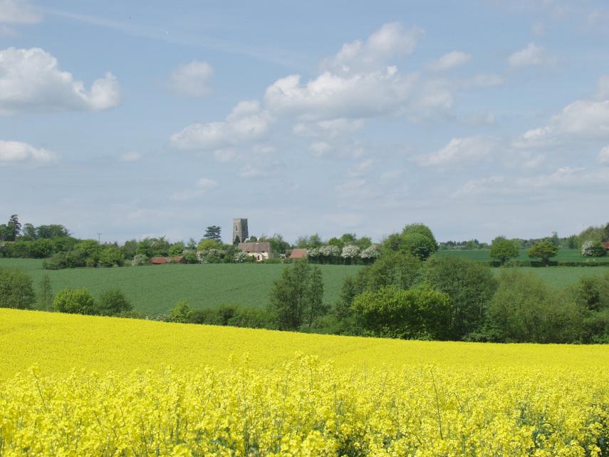 Photograph of a view near Kersey, Suffolk, England - Landscapes
