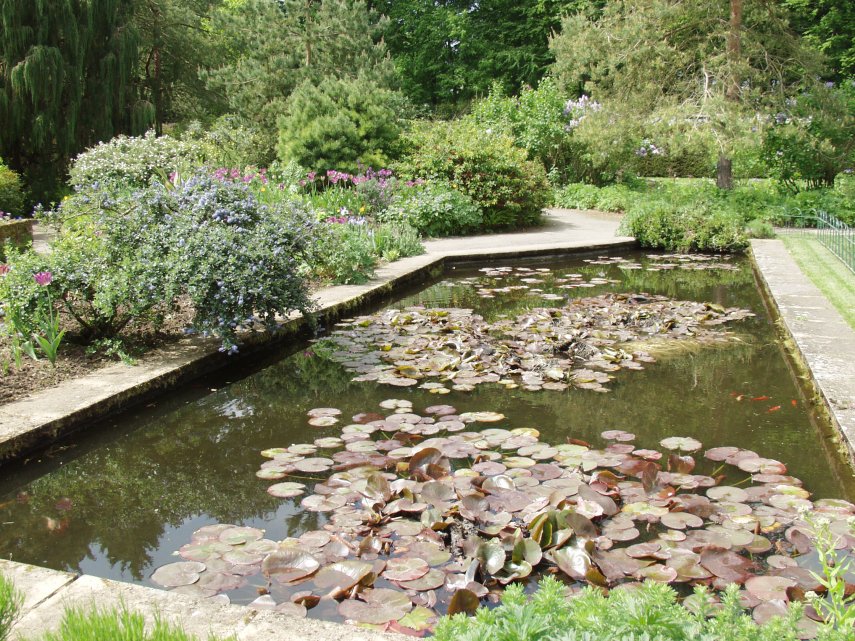 The Lily Pool, Hidcote Manor Gardens, Chipping Campden, Gloucestershire, England, Great Britain