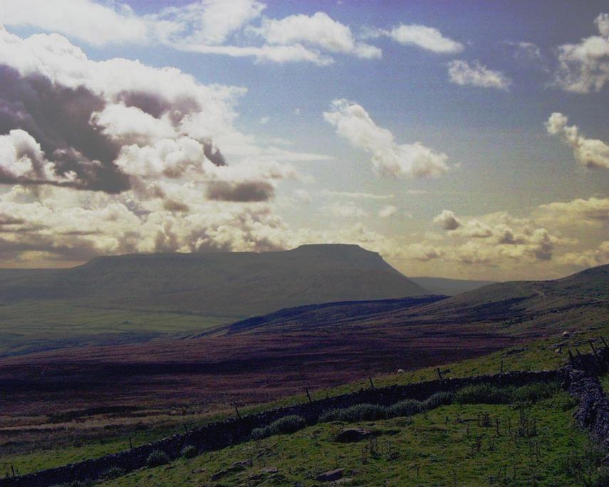 Picture of Ingleborough from the Pennine Way near Hawes, Yorkshire Dales, North Yorkshire, England - Countryside