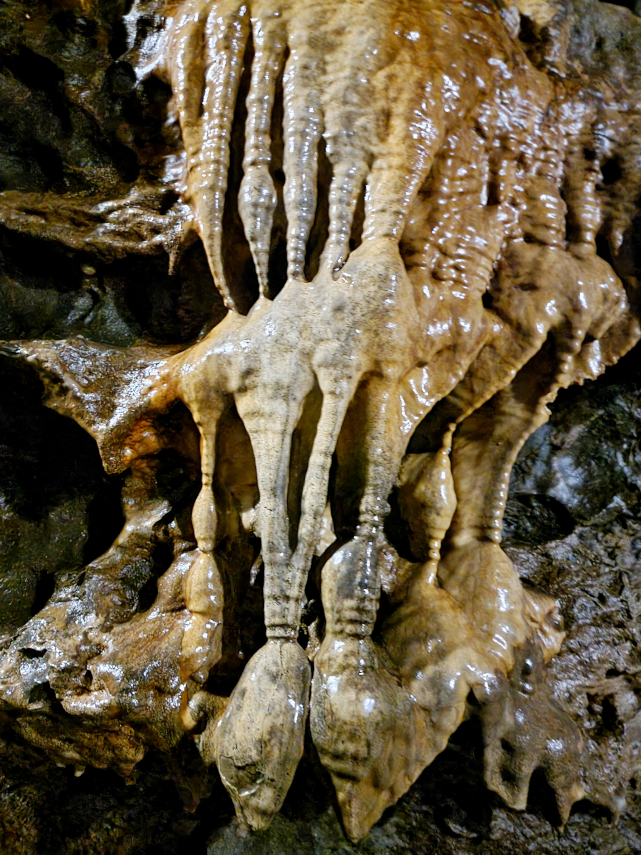 The Witches Fingers, White Scar Cave, Ingleton, Yorkshire, England, Great Britain