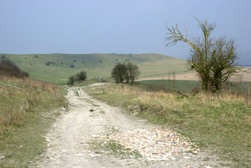 The Ridge running east from Ivinghoe Beacon, Ivinghoe, Buckinghamshire, England, Great Britain