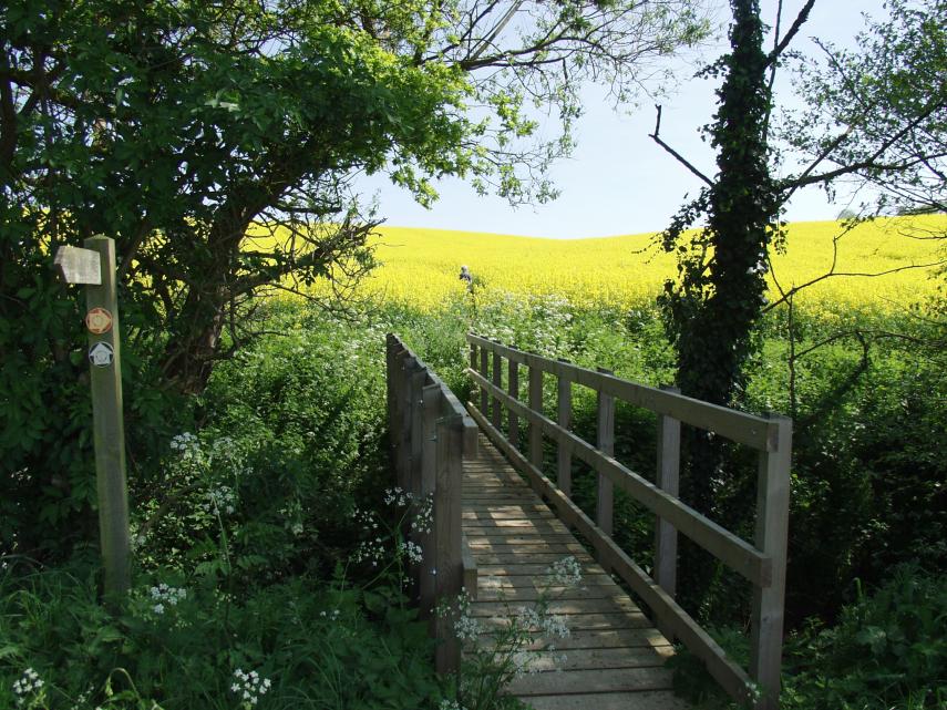 View of a public footpath bridge near Kersey, Suffolk, Great Britain