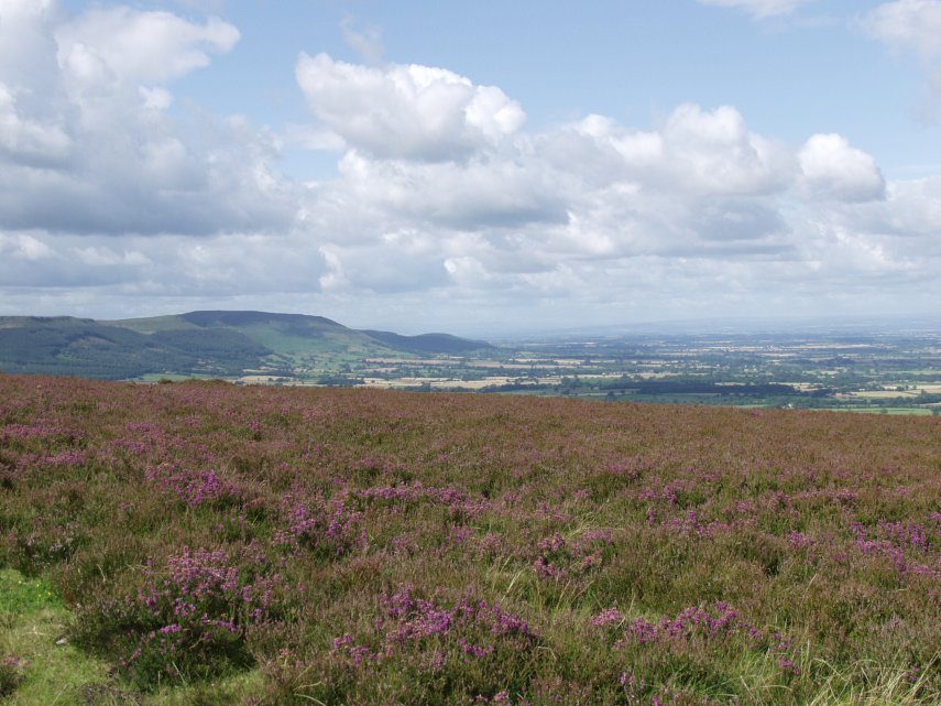 The Vale of York from the North Yorkshire Moors, Yorkshire, England, Great Britain