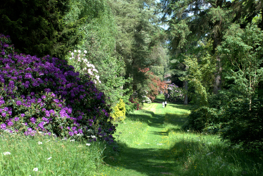 A grassy walk, Hergest Croft, Kington, Herefordshire, England, Great Britain