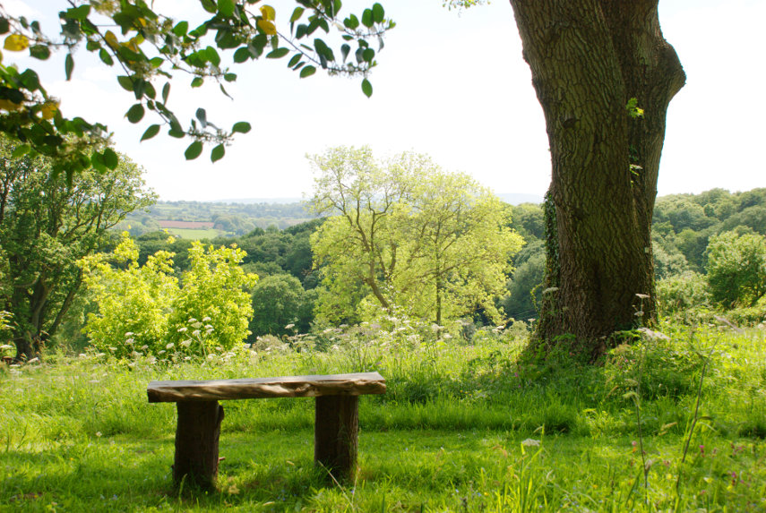 A Landscape View, Hergest Croft, Kington, Herefordshire, England, Great Britain