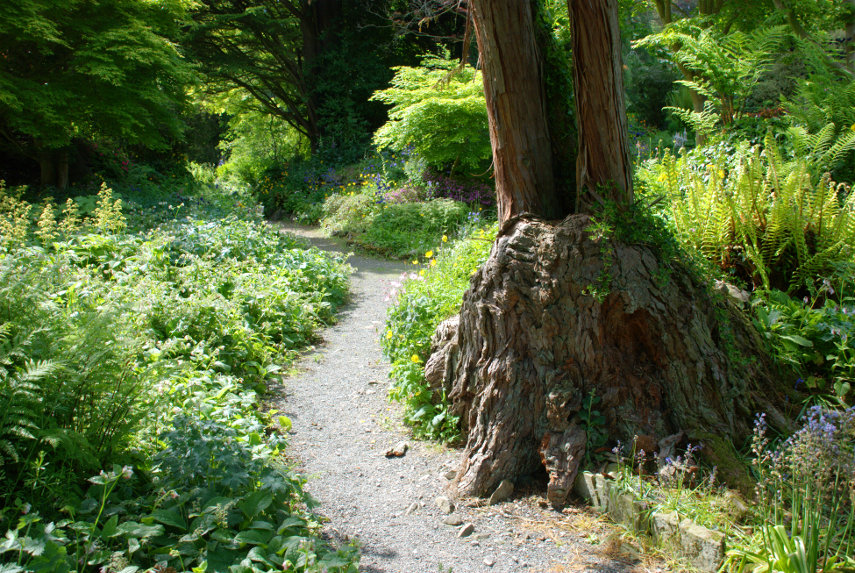 A Garden Path, Hergest Croft, Kington, Herefordshire, England, Great Britain