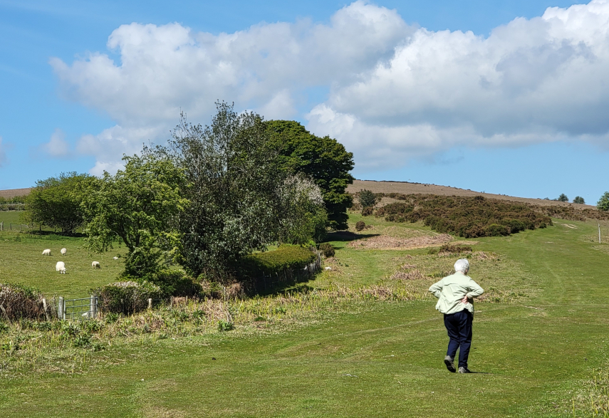 The path along Hergest Ridge, Kington, Herefordshire, England, Great Britain