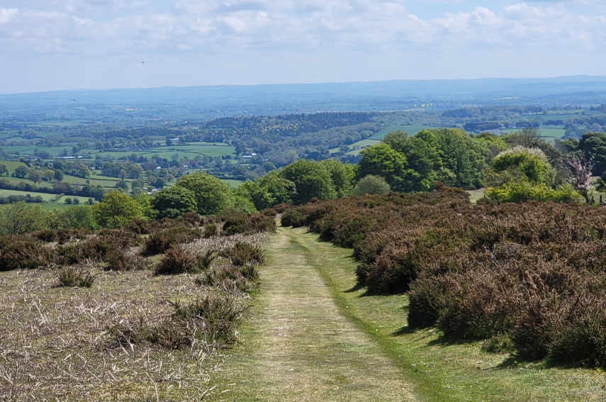 Looking back towards Kington, Hergest Ridge, Kington, Herefordshire, England, Great Britain