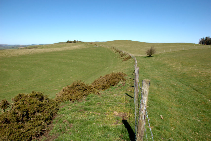 Offa's Dyke, Panpunton Hill, Knighton, Radnorshire, Wales