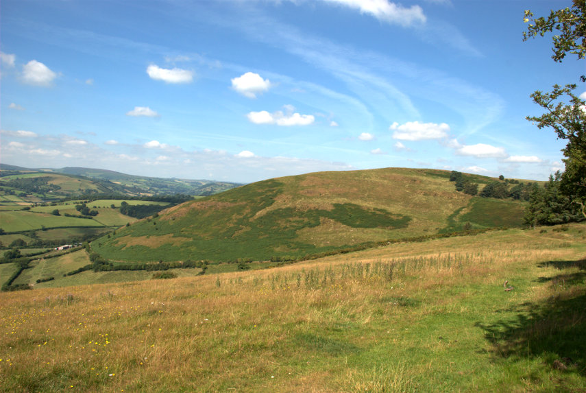 Cwm-Sanaham Hill, Knighton, Radnorshire, Wales