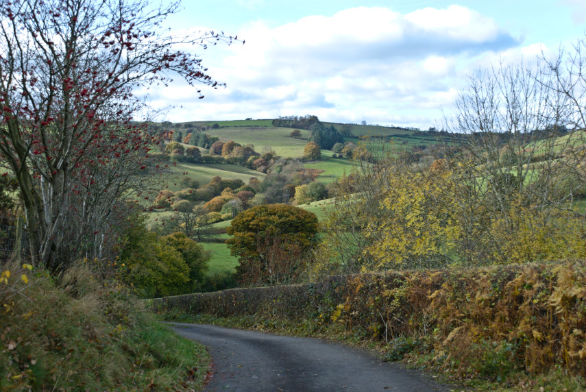 Local road on Garth Hill, Knighton, Radnorshire, Great Britain