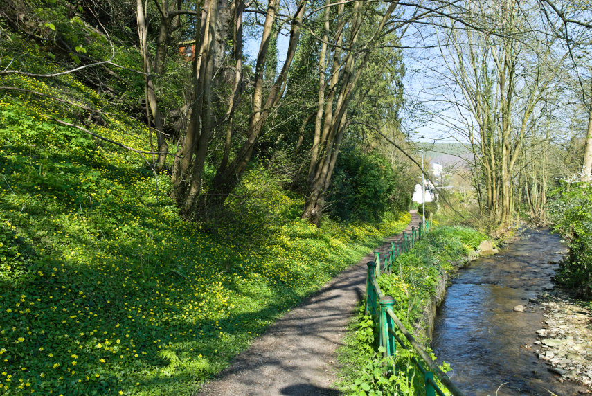 A path through the Cwm, Knighton, Radnorshire, Wales