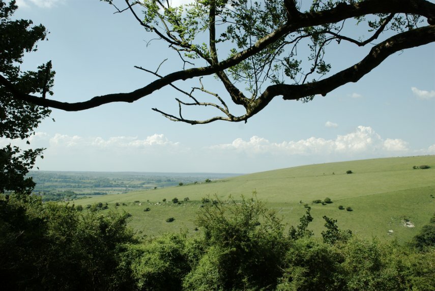 The Downs, Lewes, Sussex, England, Great Britain