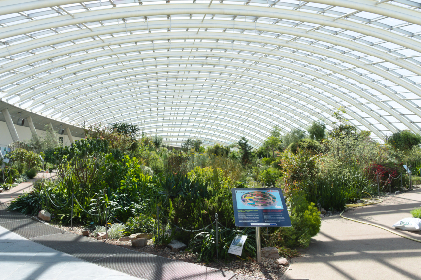 The Great Glasshouse, National Botanic Gardens of Wales, Llanarthne, Carmarthenshire