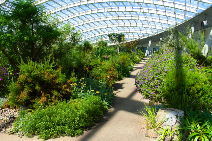 Paths in the Glasshouse, National Botanic Gardens of Wales, llanarthne, Carmarthenshire