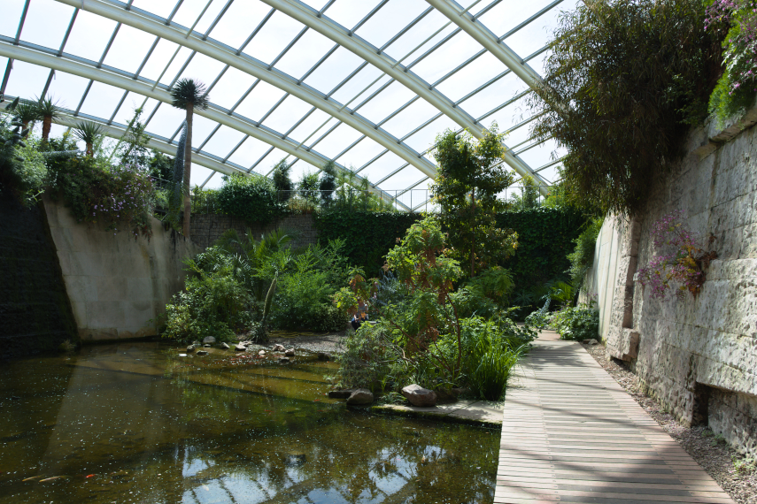 Another view of the pond, Glasshouse, National Botanic Gardens of Wales, llanarthne, Carmarthenshire