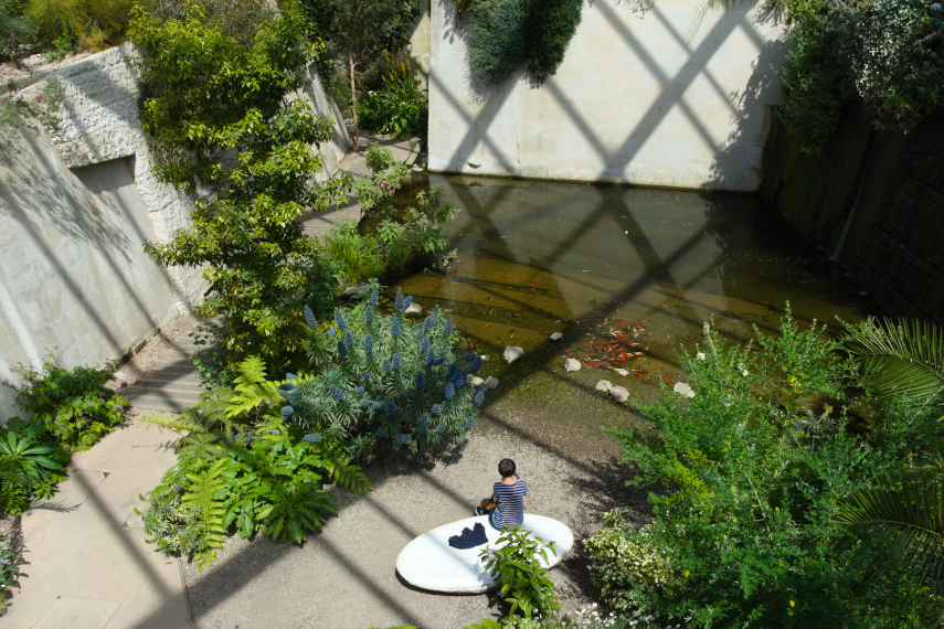 A Pool in the Glasshouse, National Botanic Gardens of Wales, Llanarthne, Carmarthenshire
