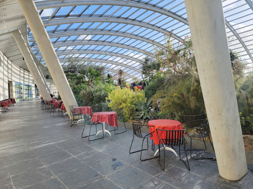 Refreshment area, Great Glasshouse, National Botanic Gardens of Wales, Llanarthne, Carmarthenshire