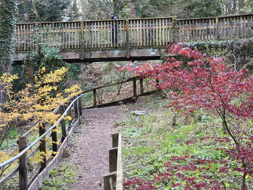Paths and Bridges, Rock Park, Llandrindod Wells, Radnorshire