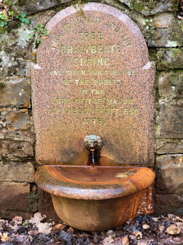 The Original Chalybeate Spring, Llandrindod Wells, Radnorshire