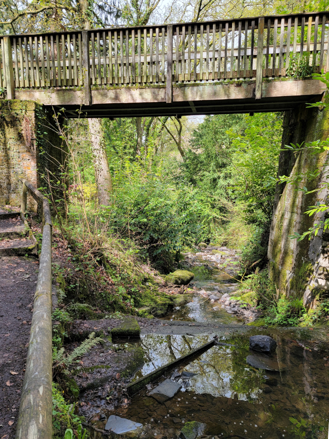 Arlais Brook, Rock Park, Llandrindod Wells, Radnorshire