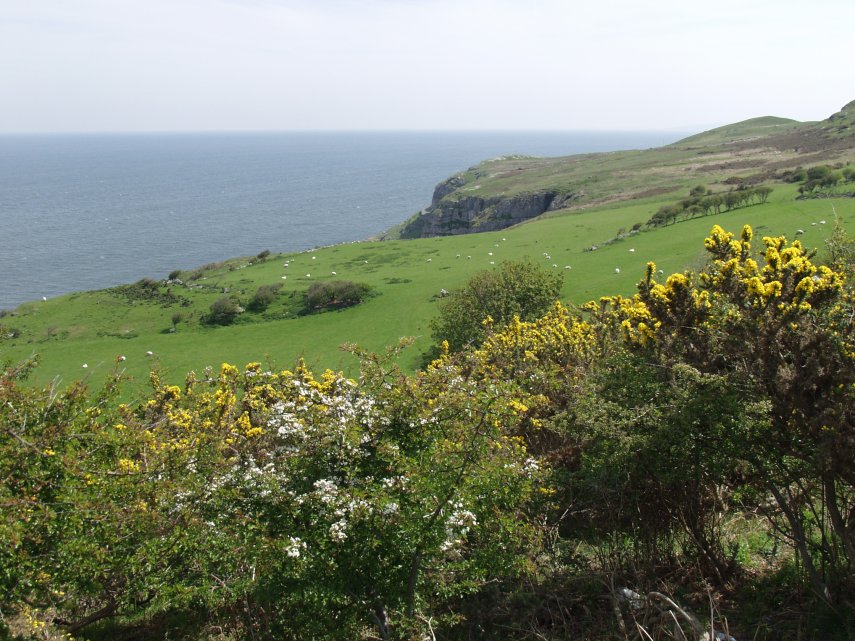 View on the Great Orme at Llandudno, Caernarfonshire, Wales, Great Britain - Landscapes