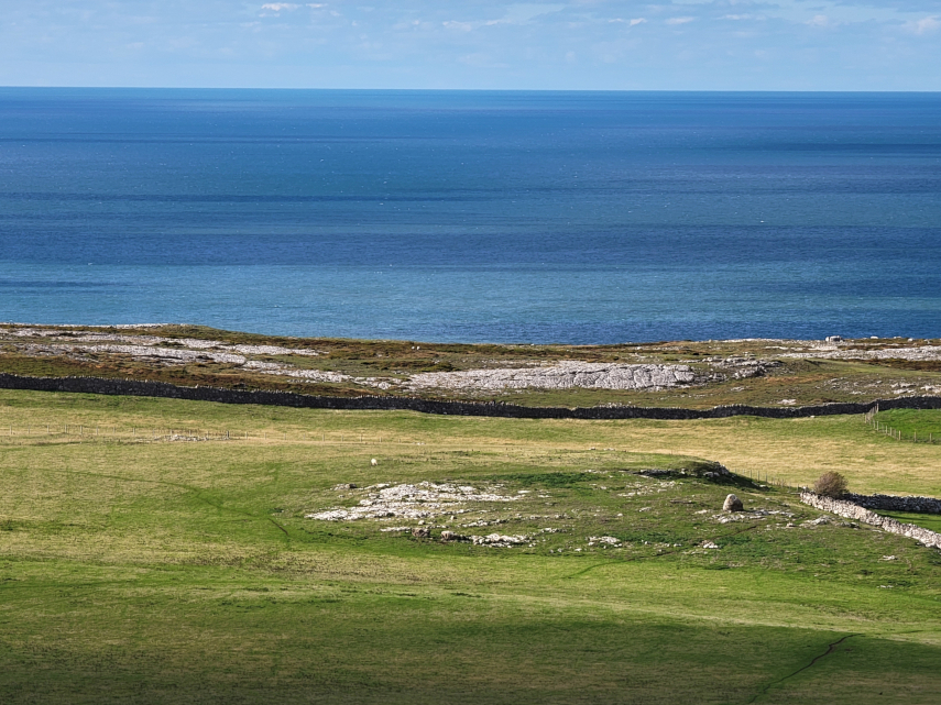 Limestone Pavement, Great Orme, Llandudno, Caernarfonshire, Wales, Great Britain