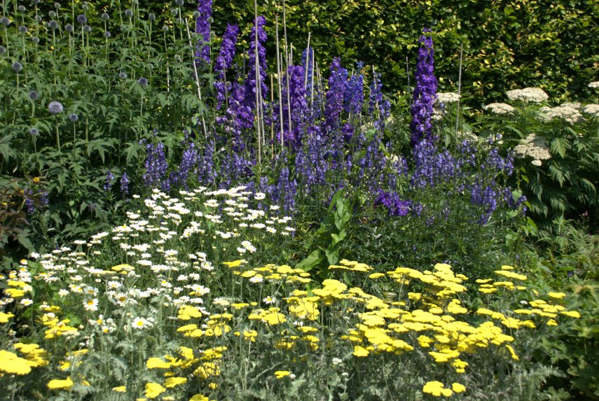 The Herbaceous Garden, Anglesey Abbey, Cambridgeshire, England