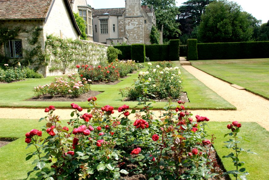 The Rose Garden, Anglesey Abbey, Lode, Cambridgeshire, England, Great Britain