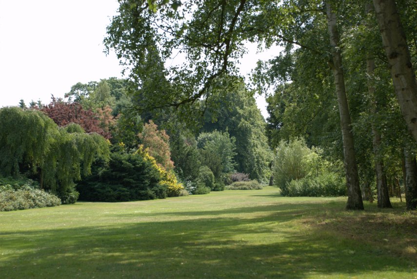 Parkland, Anglesey Abbey, Lode, Cambridgeshire, England, Great Britain