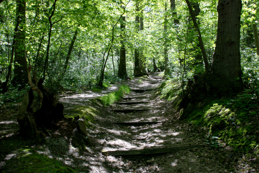 A SteppedPath, Abbey Wood, London