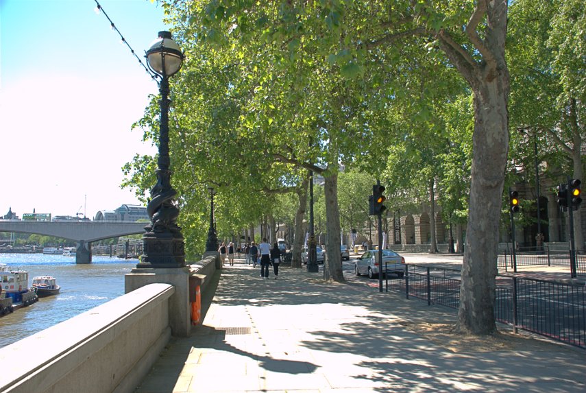 The Embankment, Westminster, London, England, Great Britain