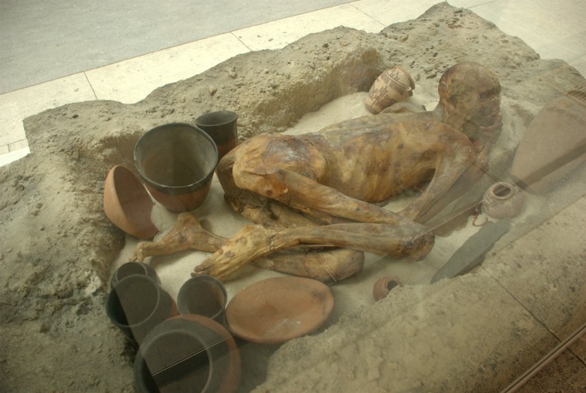 A naturally mummified body, British Museum, Holborn, London, England, Great Britain