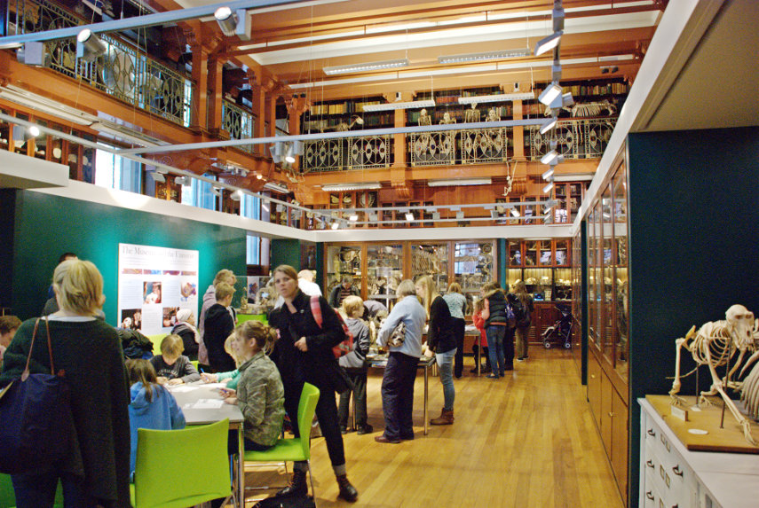 Grant Museum of Zoology, St. Pancras, London, England, Great Britain