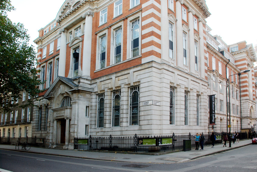The Grant Museum, Bloomsbury, London, England, Great Britain