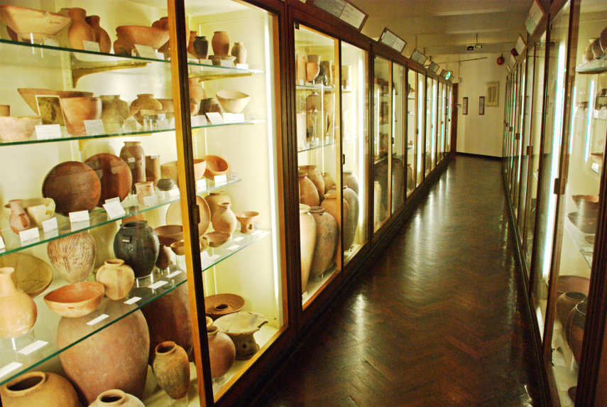 A Pottery Gallery, Petrie Museum of Egyptian Archaeology, St. Pancras, London, England, Great Britain
