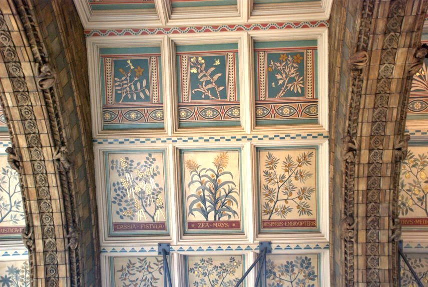 Ceiling Panels, Natural History Museum, South Kensington, London, England, Great Britain
