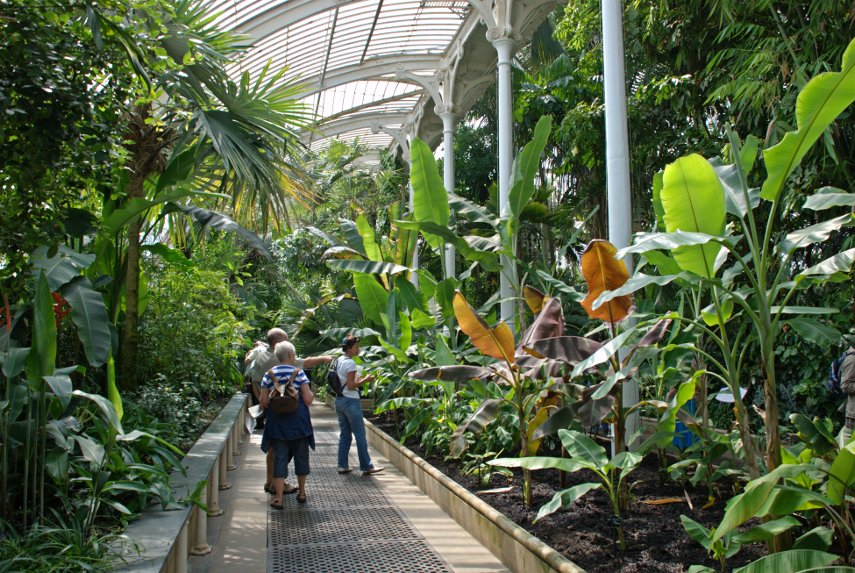 The Palm House Interior, Kew Gardens, London, England, Great Britain