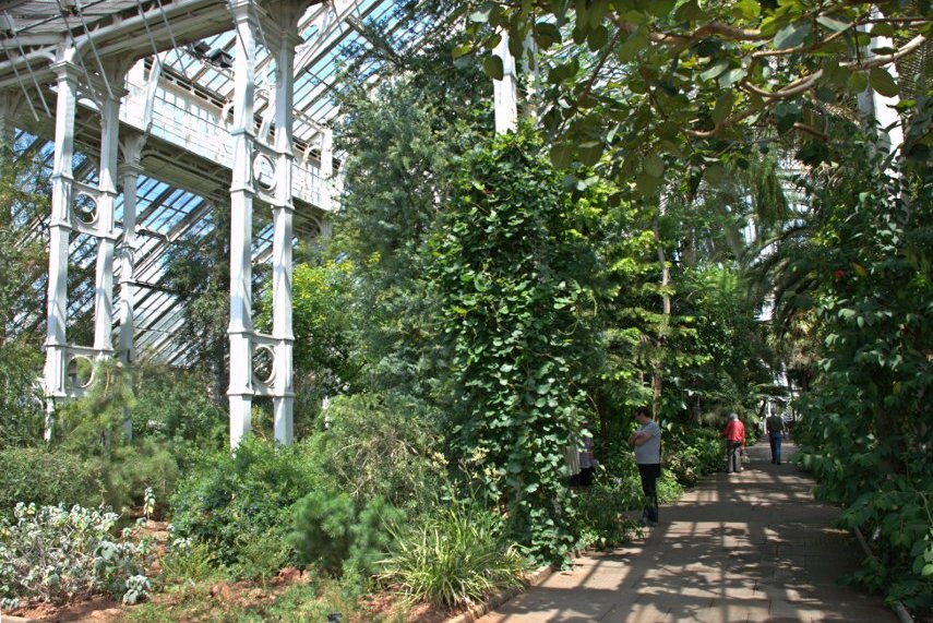 The Temperate House Interior, Kew Gardens, London, England, Great Britain