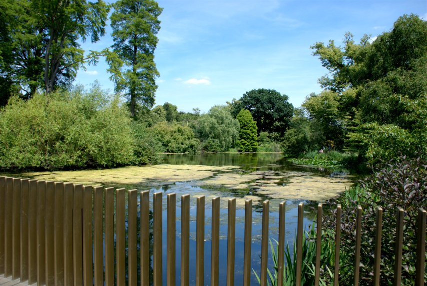 On the Sackler Crossing, Kew Gardens, London, England, Great Britain