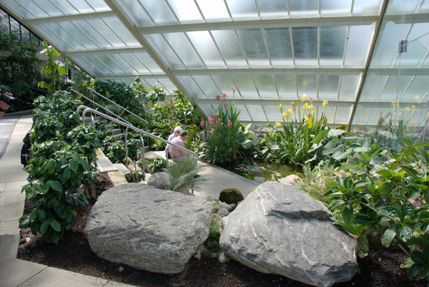 The Themed Displays Zone, Princess of Wales Conservatory, Kew Gardens, London, England, Great Britain