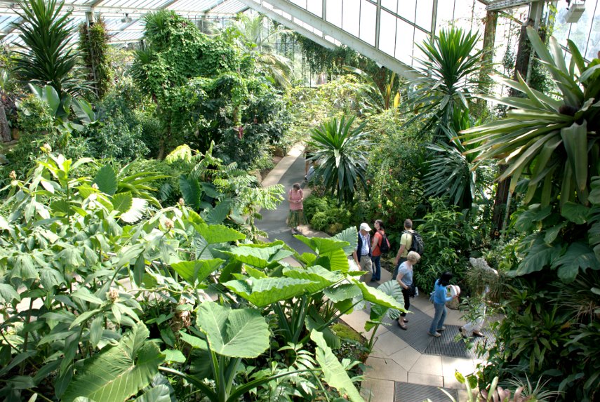 A Change in Levels, Princess of Wales Conservatory, Kew Gardens, London, England, Great Britain