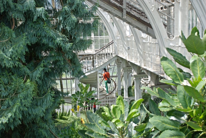 Another view of the Spiral Stairway, Temperate House, Kew Gardens, London, England, Great Britain