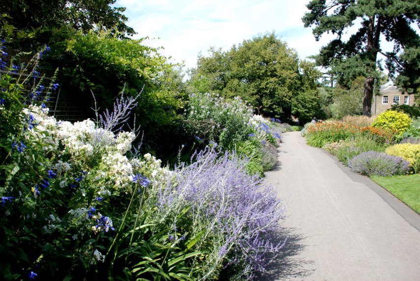 The Duke's Garden, Kew Gardens, London, England, Great Britain