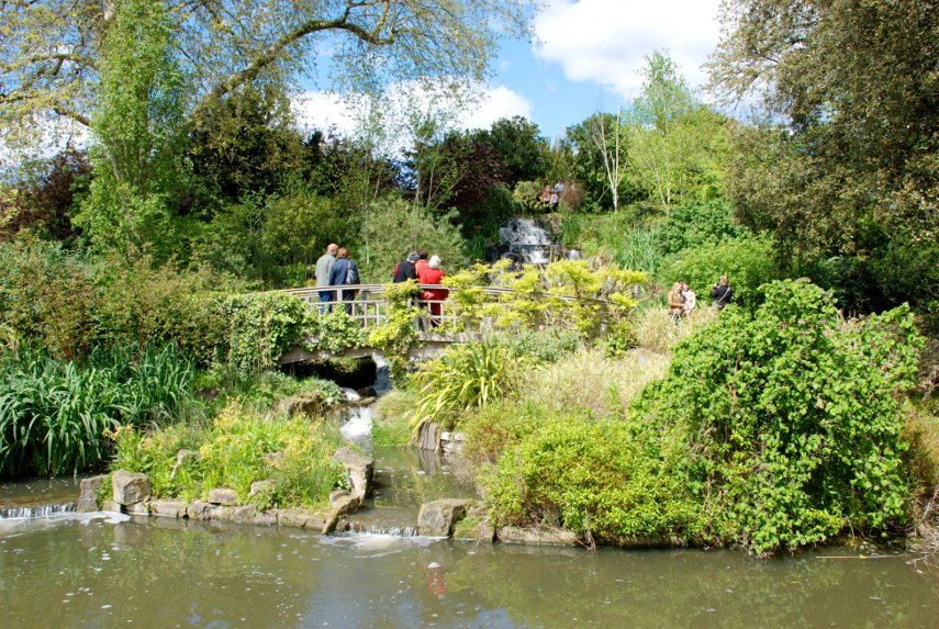 The Pond and Cascade, Queen Mary Gardens, Regents Park, London, England, Great Britain