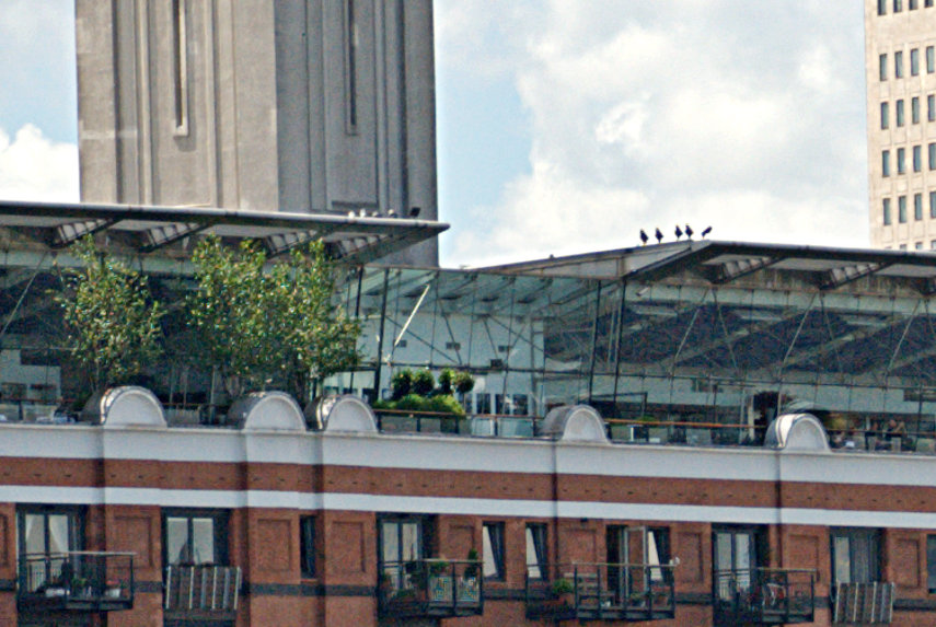The Oxo Tower public viewing gallery, Southwark, London, England, Great Britain