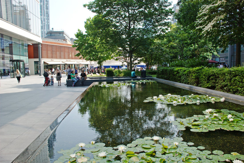A Lily Pond in Bishops Square, Spitalfields, London, England, Great Britain