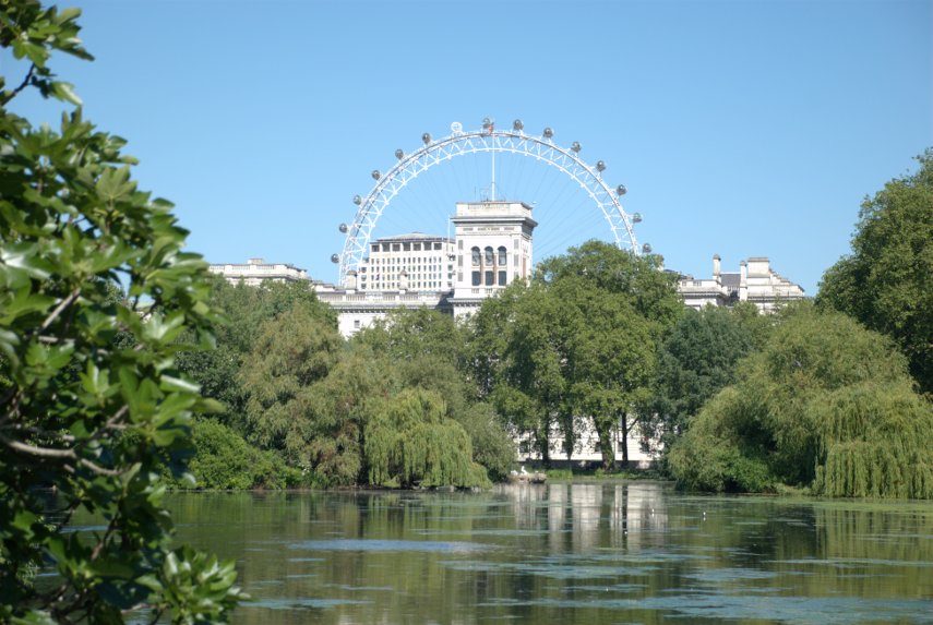 The London Eye from St. James's Park, London, England, Great Britain