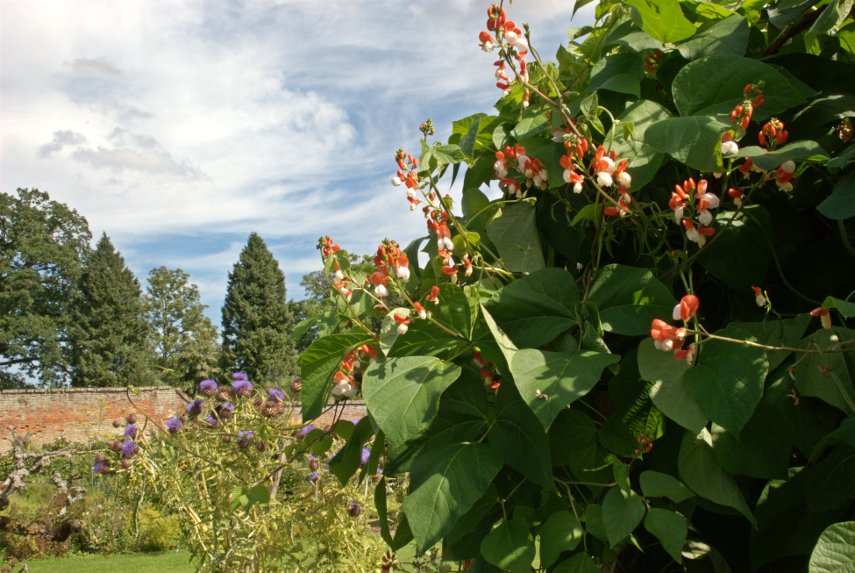 The Walled Garden, Kentwell Hall, Long Melford, Suffolk