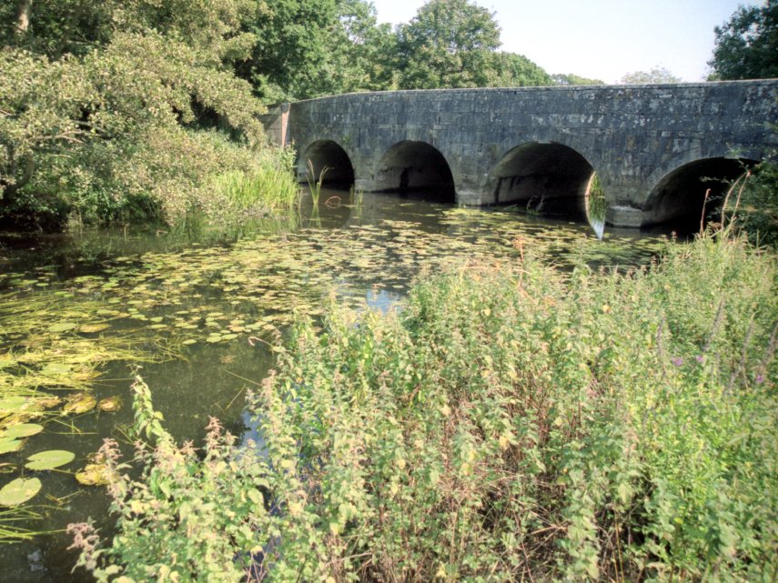 Boldre Bridge, New Forest, Hampshire, England, Great Britain